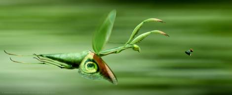 1430_0200_a_lch.1108_c__mmxviii_futurikon_films_-_ifilmfilm_-_france_3_cine__ma